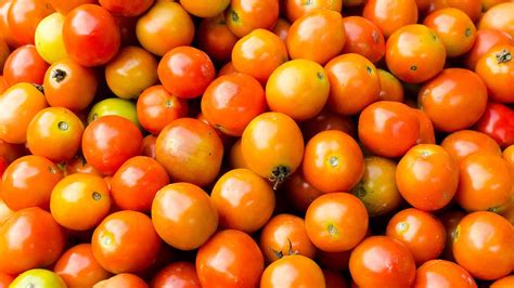 Benefits, recipes: Guide to common Filipino .